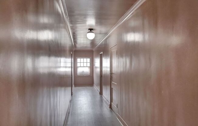 Studio, 1 bath, 235 sqft, $1,095, Unit 207