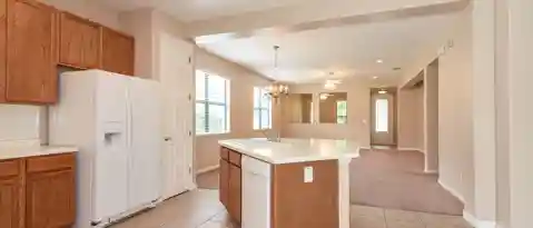 20355 CHESTNUT GRV DR