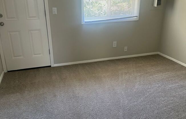 1 bed, 1 bath, 504 sqft, $799, Unit 1239