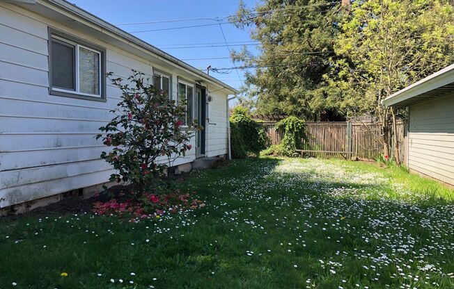 Charming 2 bed 1 bath house in a great neighborhood!