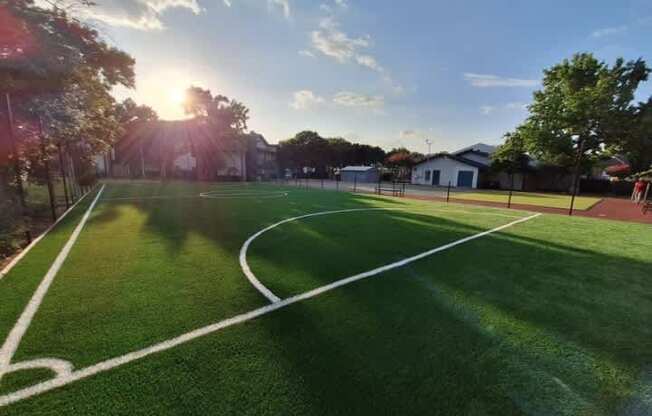 A sunny day at the park with a soccer field in the foreground.