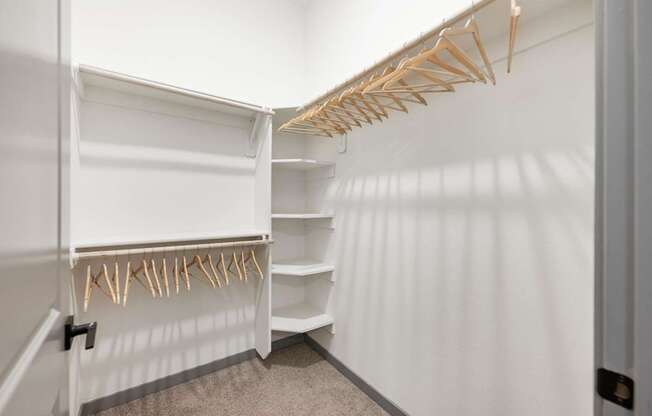 A white closet with a shelf and clothes hangers.