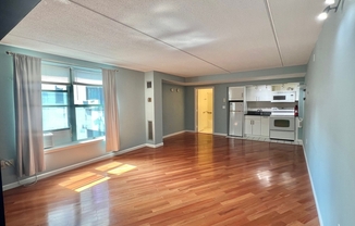 Studio, 1 bath, 450 sqft, $2,700, Unit 4H