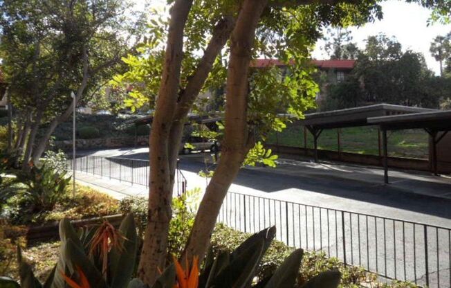 1 bed, 1 bath, 830 sqft, $2,295, Unit 11
