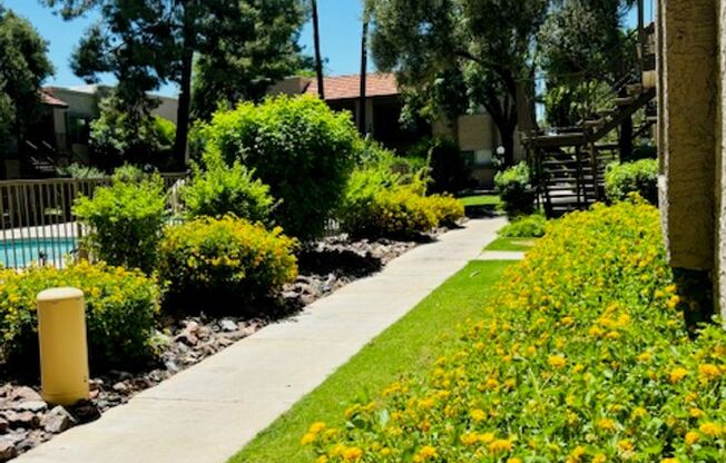 1 bed, 1 bath, 565 sqft, $999, Unit 208