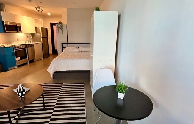 Studio, 1 bath, 450 sqft, $1,900, Unit 216
