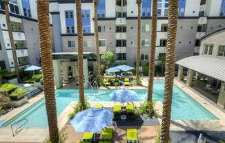 Resort style pool with palm trees