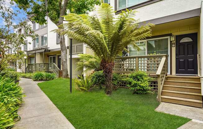 a yard with a palm tree in front of an apartment building