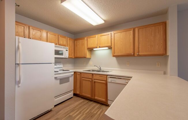 1 bed, 1 bath, 918 sqft, $1,445, Unit 229