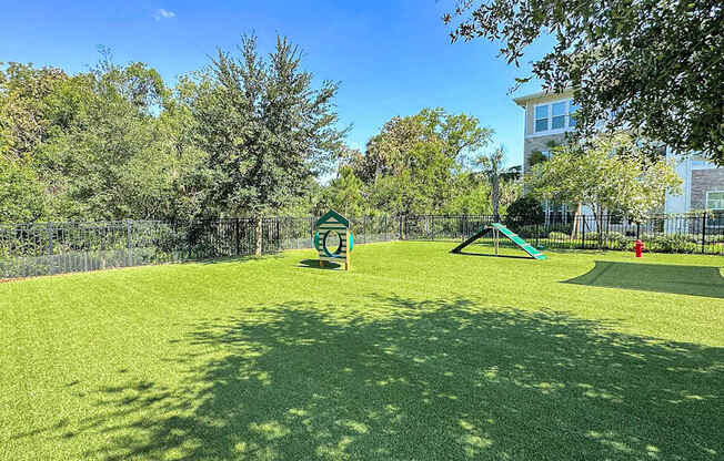 Fenced dog parks with agility equipment