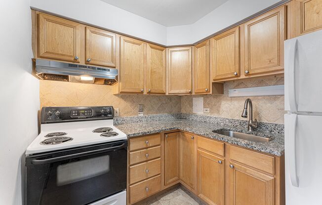 Studio, 1 bath, 383 sqft, $1,550, Unit 307