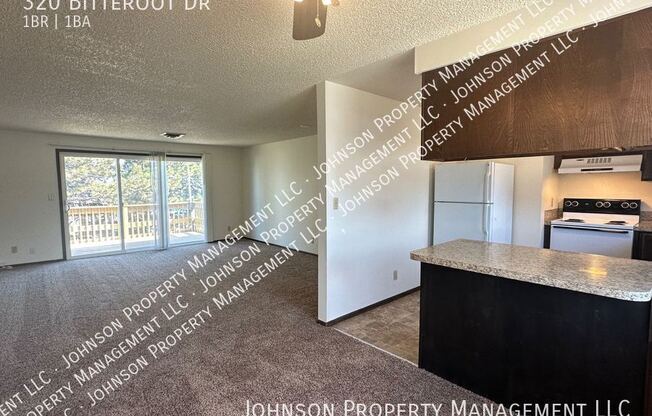 320 BITTEROOT DR