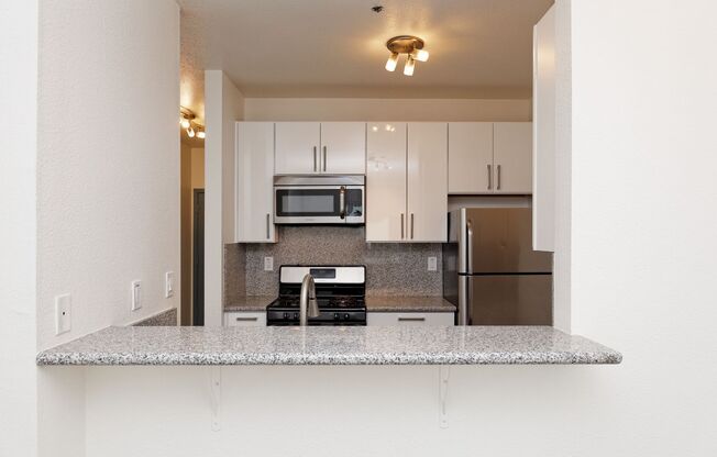 1 bed, 1 bath, 700 sqft, $2,395, Unit 303 - empty