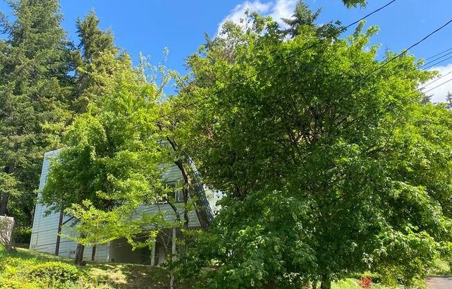 3 bedroom 1.5 Bath Tandem Home!