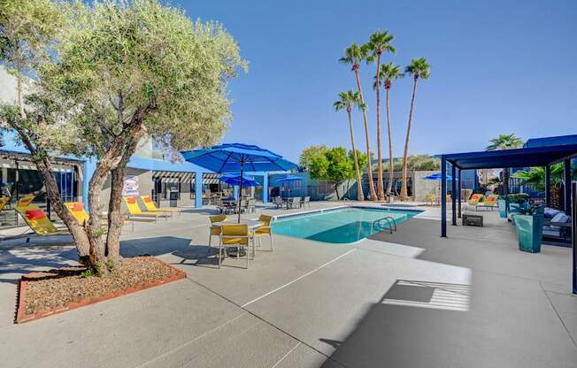 A pool area with a tree and chairs.