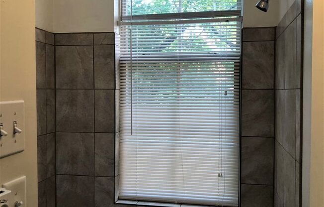Studio, 1 bath, $850, Unit 1038-2B