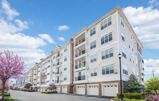 2 beds, 2 baths, 1,235 sqft, $3,595, Unit 1511