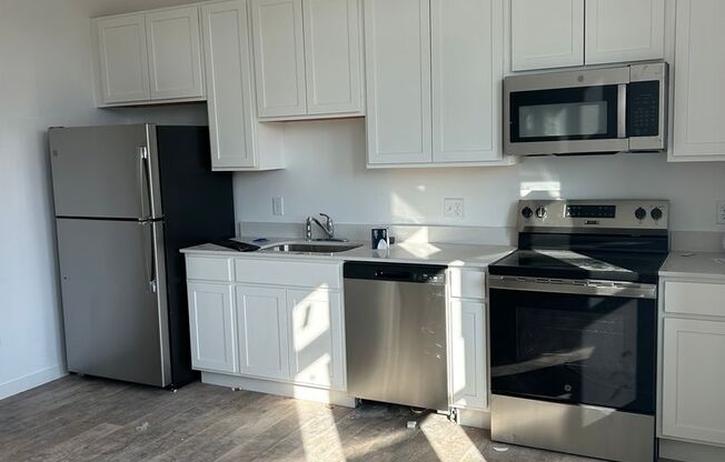 1 bed, 1 bath, 507 sqft, $950, Unit 203