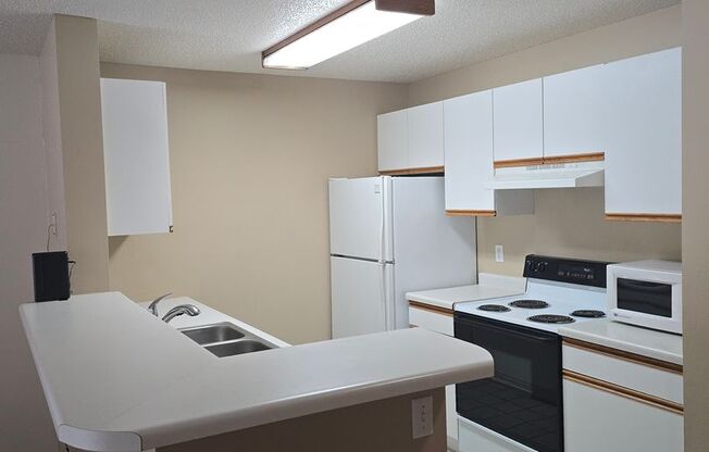 1 bed, 1 bath, 750 sqft, $1,375, Unit 3029-329