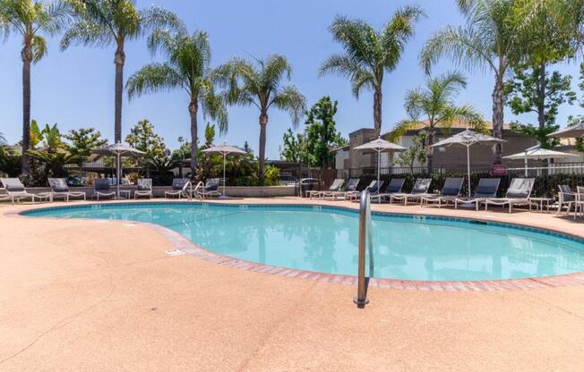 a swimming pool with chairs and palm trees