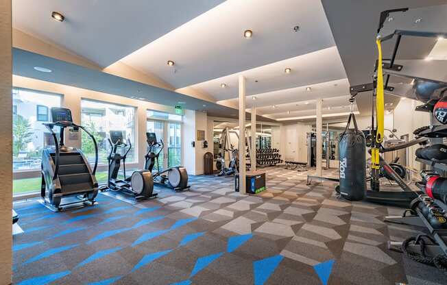Fitness Center with Cardio and Free Weights