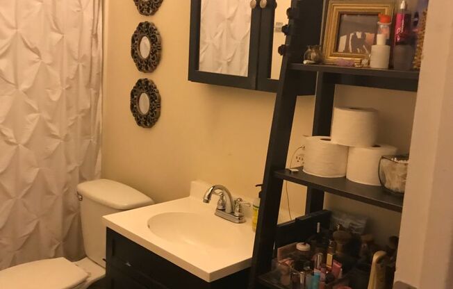 1 bed, 1 bath, 528 sqft, $1,100, Unit 308