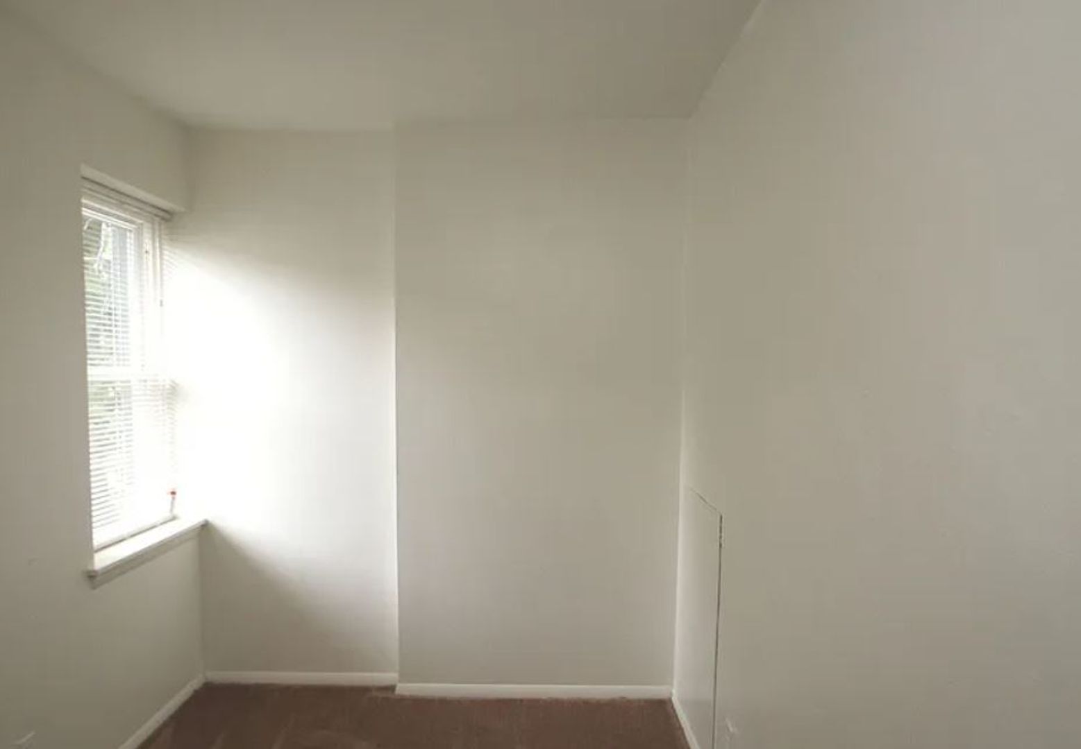 COMING SOON! Quiet block, cozy home - community garden, Calvert Street Park!