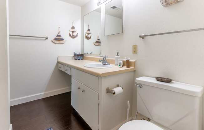 a bathroom with a sink and a toilet and a mirror
