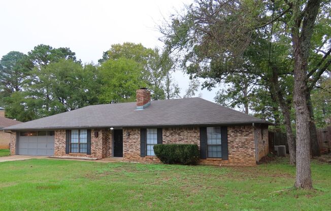 Spacious 3 Bedroom, 2 Bath Home in Whitehouse ISD!