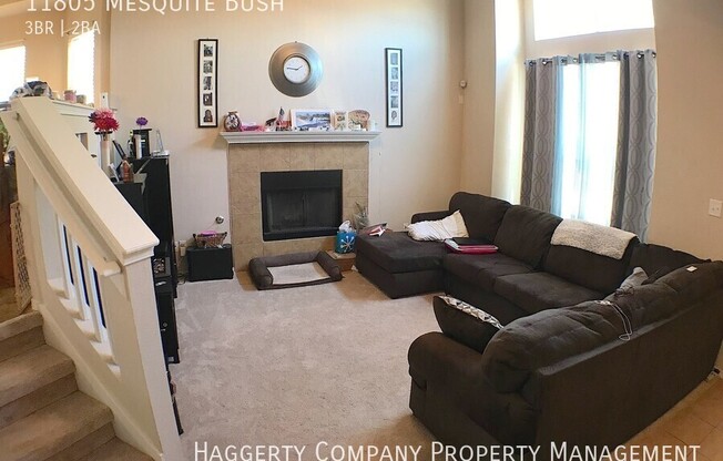 11805 Mesquite Bush
