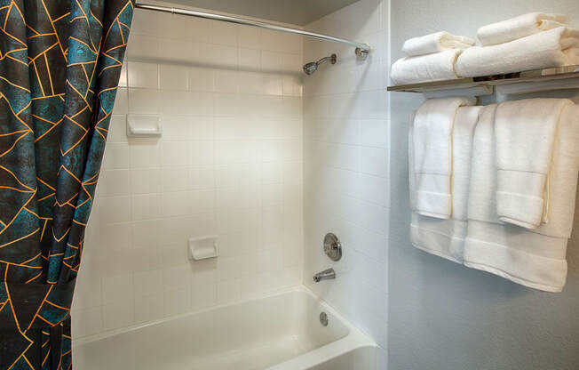 Shower Room at Stone Cliff Apartments