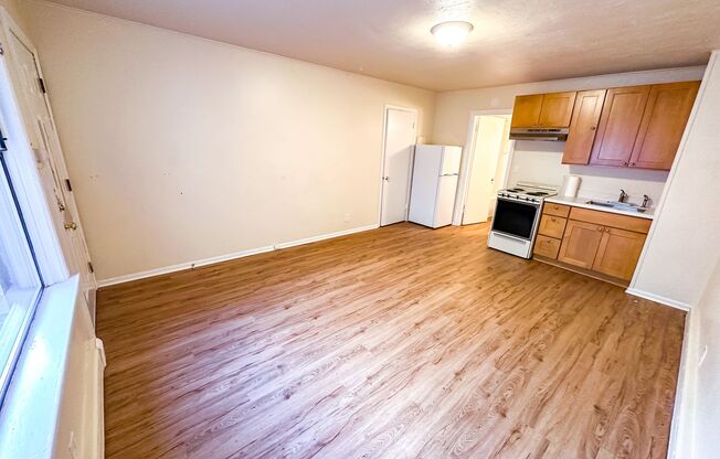 Studio, 1 bath, 250 sqft, $1,295, Unit 03