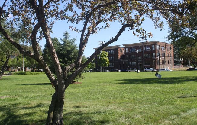 CASS D Apartments