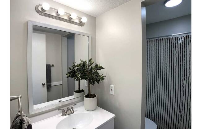 A bathroom with a mirror, sink, and a potted plant.