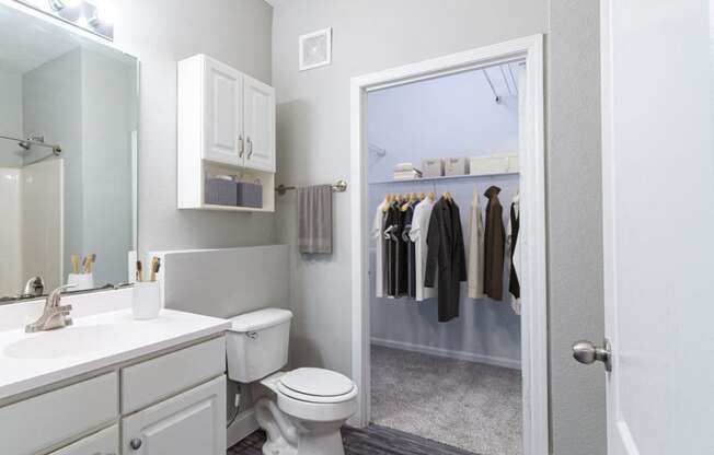 a bathroom with a toilet and a mirror