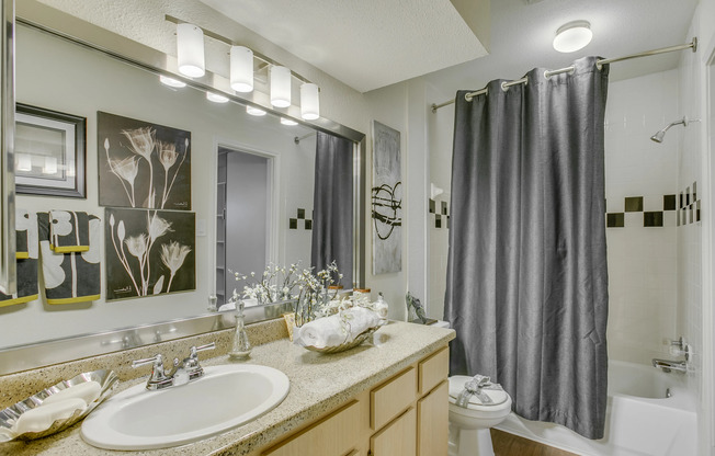 View of Bathroom, Showing Single Vanity, Toilet, and Tub at The Regatta Apartments