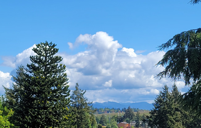 Burien Crest Apartments- 1- & 2-Bedroom Apartment Homes!