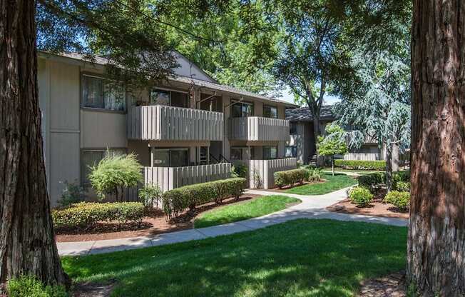 A tree-lined pathway leads to apartment buildings at The Woods Apartments, California
