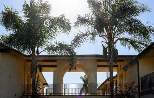 a walkway between two buildings with palm trees in the middle of the walkway at Park Columbia Apts, Hemet, 92544