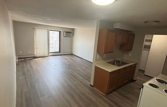 1 bed, 1 bath, $1,250, Unit 314