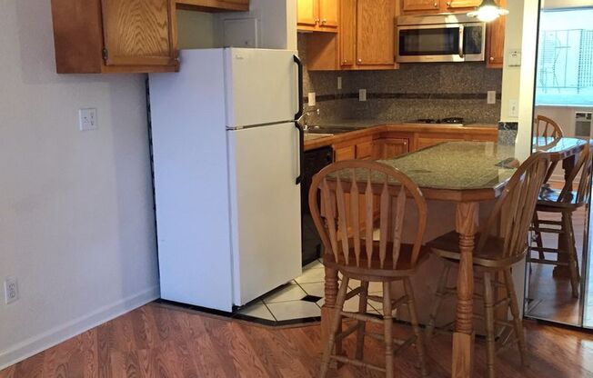 Studio, 1 bath, 250 sqft, $1,195, Unit 102