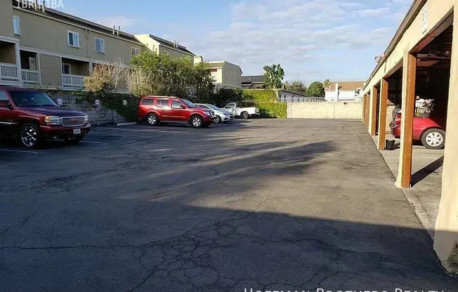 291 AVOCADO ST