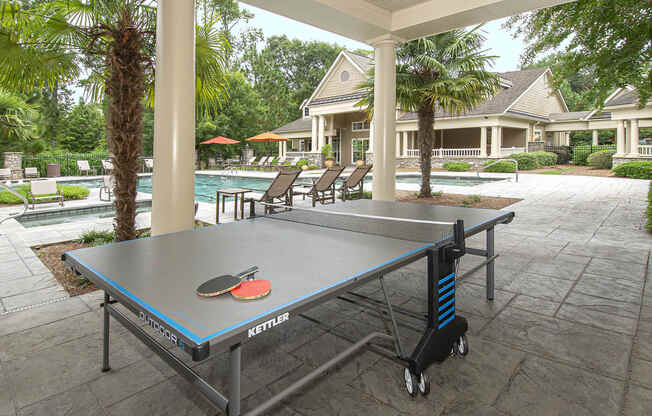 greystone falls ping pong table