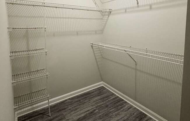 Empty walk in closet with shelves and wood floors.