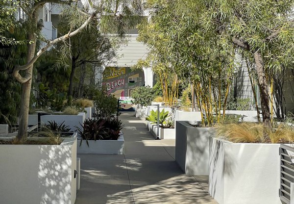 Venice on Rose in Los Angeles