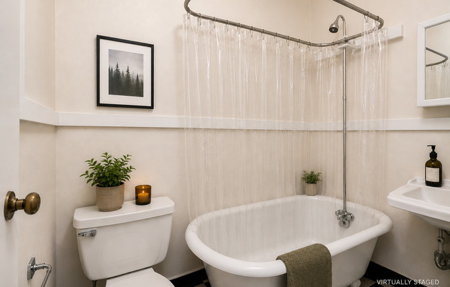 Studio, 1 bath, 215 sqft, $900, Unit 402
