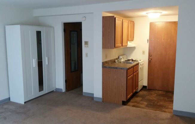Studio, 1 bath, 350 sqft, $1,115, Unit 121-2B