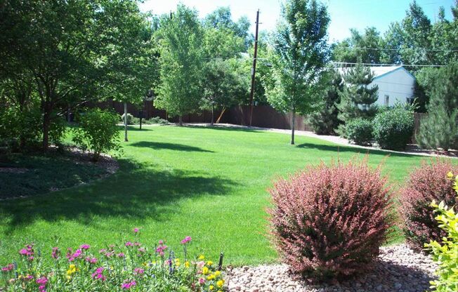 OLDE TOWN ARVADA - GREAT LOCATION!!