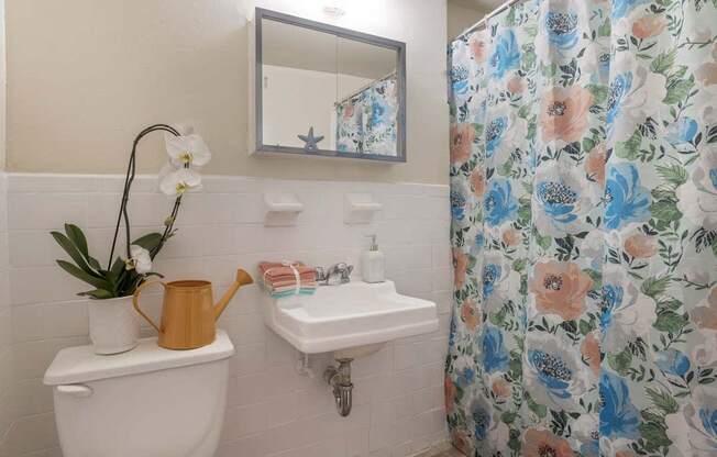 a bathroom with a shower curtain and a toilet and a sink