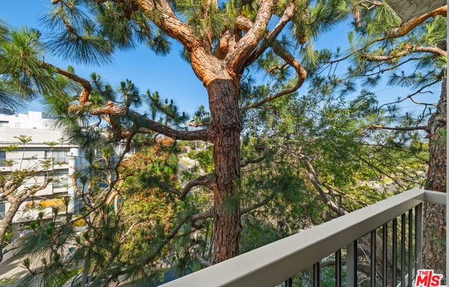 2 beds, 1.8 baths, 900 sqft, $3,899, Unit 554